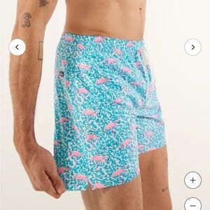 Chubbies The Domingos are for Flamingos pink turquoise trunks XS swim